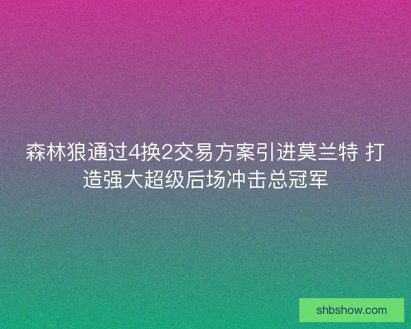 森林狼通过4换2交易方案引进莫兰特 打造强大超级后场冲击总冠军