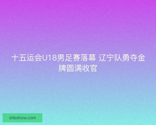 十五运会U18男足赛落幕 辽宁队勇夺金牌圆满收官